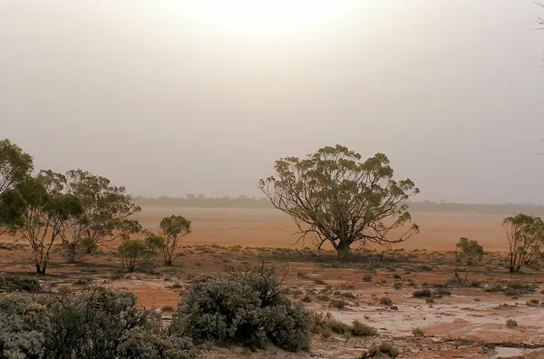 Photo of a dry looking river bed in a rural Australian setting.