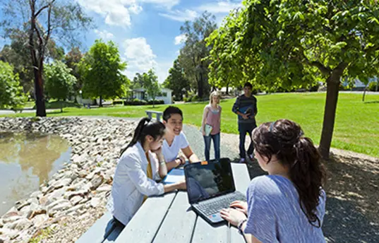 Group of students sitting outside campus